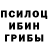 Псилоцибиновые грибы мицелий Yop5a