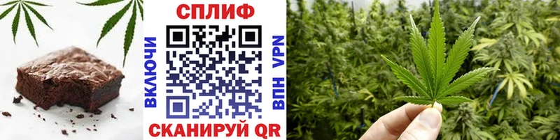 Купить где  Большой Камень  Canna-Cookies конопля 