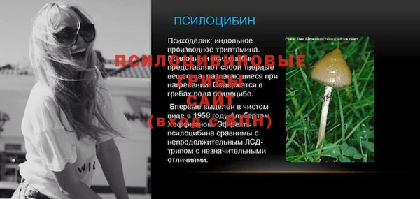 стаф Зерноград