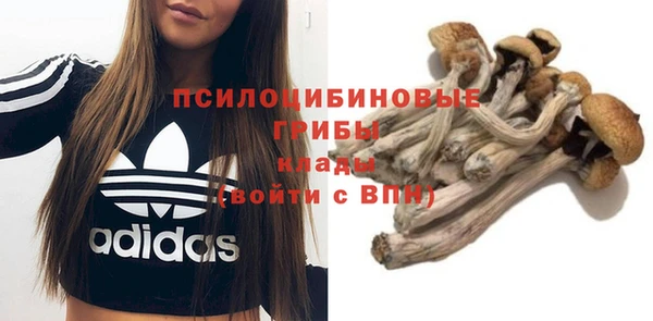 spice Зеленокумск