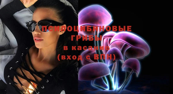 стаф Зерноград