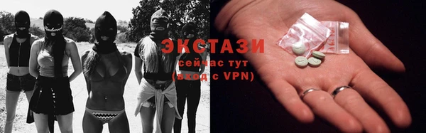 стаф Зерноград