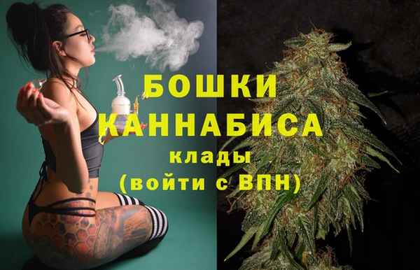 спайс Инта