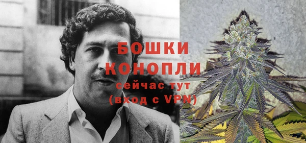 spice Зеленокумск