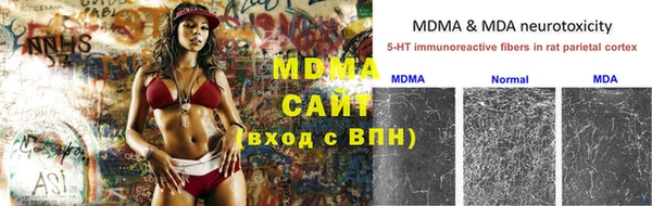 стаф Зерноград