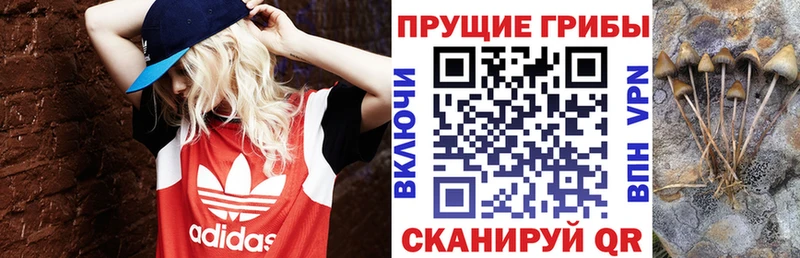 Галлюциногенные грибы мухоморы  Купить  Большой Камень 